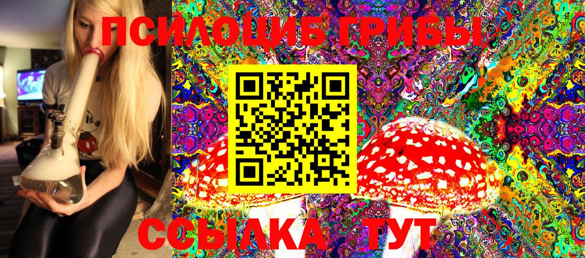 Галлюциногенные грибы ЛСД Кашира